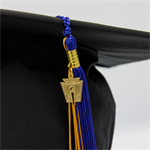 NHS Tassel