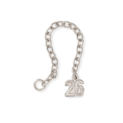 Silver-2026 Year Guard