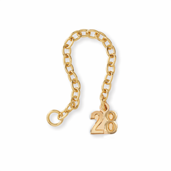 Gold-2028 Year Guard