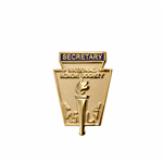 NHS Secretarys Pin